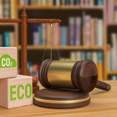 Environmental law is a legal field that encompasses a wide range of regulations, statutes, treaties, and policies designed to address environmental issues and protect the natural world.