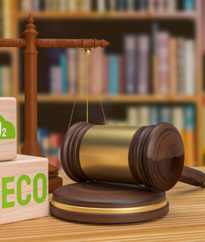 Environmental law is a legal field that encompasses a wide range of regulations, statutes, treaties, and policies designed to address environmental issues and protect the natural world.